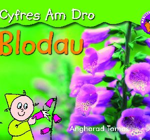 Cyfres am Dro: 2. Blodau
