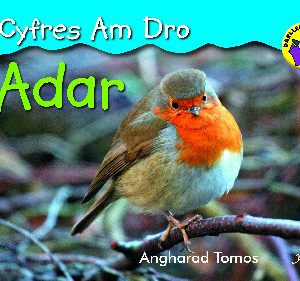 Cyfres am Dro: 3. Adar