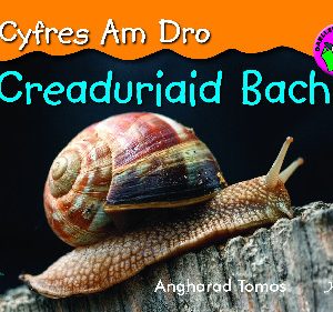 Cyfres am Dro: 4. Creaduriaid Bach