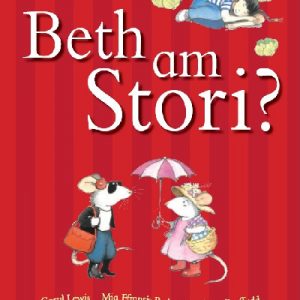 Beth am Stori?