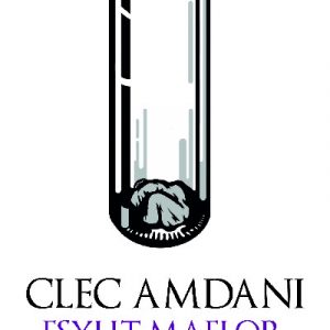 Cyfres Copa: Clec Amdani