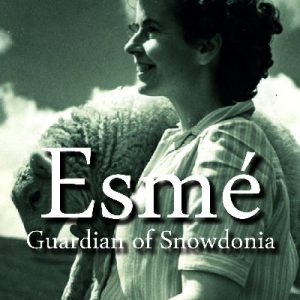 Esmé - Guardian of Snowdonia