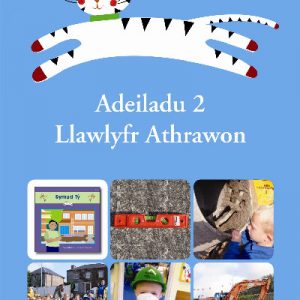Cadi: Byd Cadi - Adeiladu 2