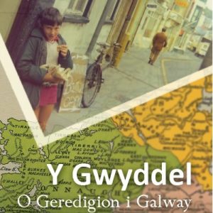 Gwyddel, Y - O Geredigion i Galway
