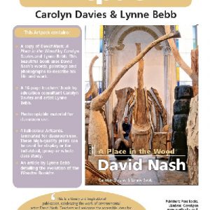 Place in the Wood, A - David Nash Artpack