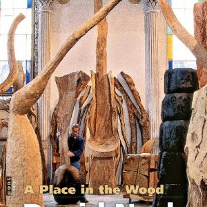 Place in the Wood, A - David Nash