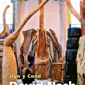 David Nash - Dyn y Coed