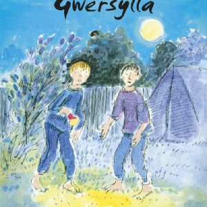 Cyfres Bechgyn am Byth!: Gwersylla