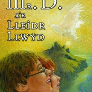Cyfres Swigod: Mr D a'r Lleidr Llwyd