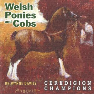 Welsh Ponies and Cobs - Ceredigion Champions