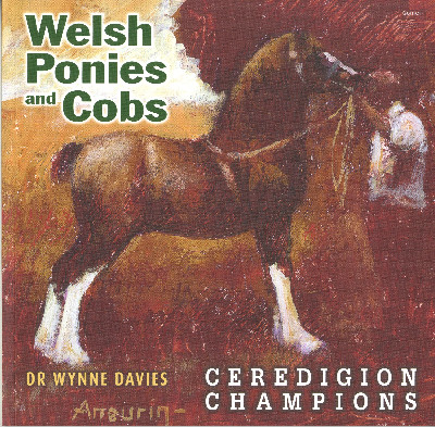 Welsh Ponies and Cobs - Ceredigion Champions