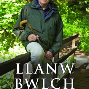 Llanw Bwlch