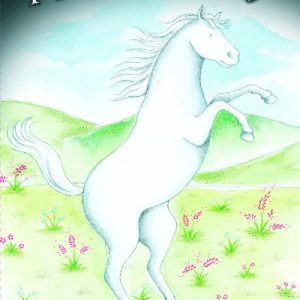 Cyfres Swigod: Maestro