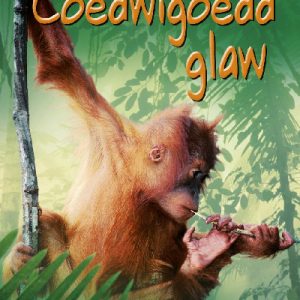 Cyfres Dechrau Da: Coedwigoedd Glaw