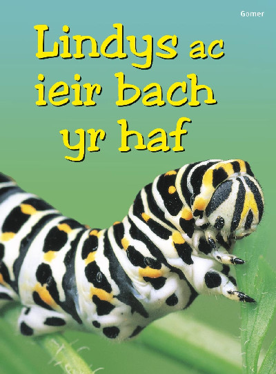 Cyfres Dechrau Da: Lindys ac Ieir Bach yr Haf
