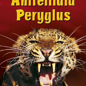 Cyfres Dechrau Da: Anifeiliaid Peryglus