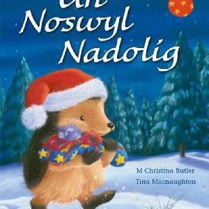 Cyfres Draenog Bach: Un Noswyl Nadolig