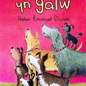 Cyfres Swigod: Gelert yn Galw