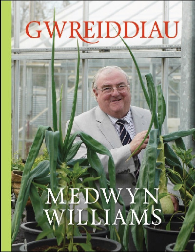 Gwreiddiau