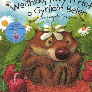 Weithiau, Rwy'n Hoff o Gyrlio'n Belen/Sometimes I like to Curl up in a Ball