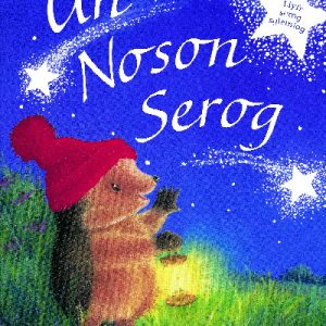 Cyfres Draenog Bach: Un Noson Serog