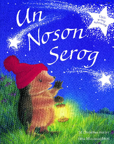 Cyfres Draenog Bach: Un Noson Serog