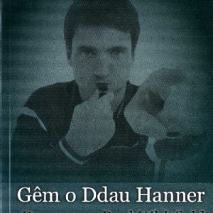 Gêm o Ddau Hanner