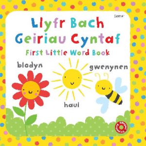 Llyfr Bach Geiriau Cyntaf