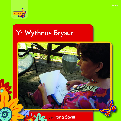 Pobl Pentre Bach: Yr Wythnos Brysur