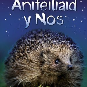 Cyfres Dechrau Da: Anifeiliaid y Nos