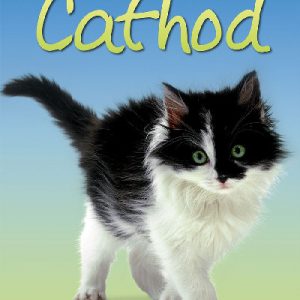 Cyfres Dechrau Da: Cathod