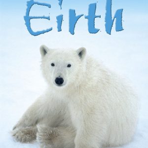 Cyfres Dechrau Da: Eirth