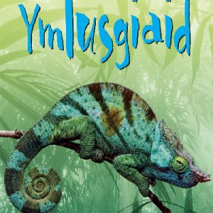 Cyfres Dechrau Da: Ymlusgiaid