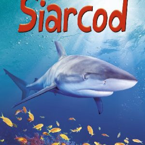 Cyfres Dechrau Da: Siarcod