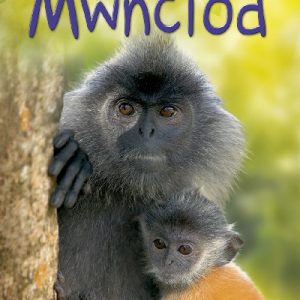 Cyfres Dechrau Da: Mwnciod