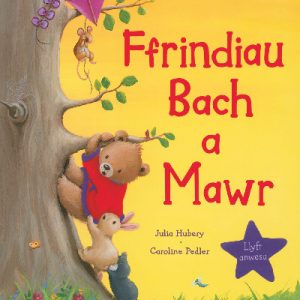 Ffrindiau Bach a Mawr