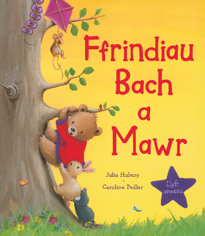 Ffrindiau Bach a Mawr