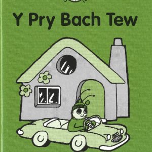 Cyfres Darllen Stori: Pry Bach Tew, Y