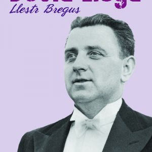 David Lloyd - Llestr Bregus