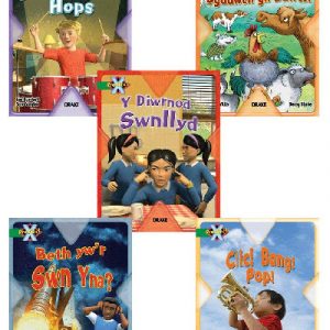 Prosiect X: Band 5 Gwyrdd - Cadw Sŵn