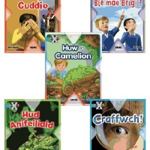 Prosiect X: Band 7 Gwyrddlas - Cuddio