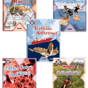 Prosiect X: Band 10 Gwyn - Teithio