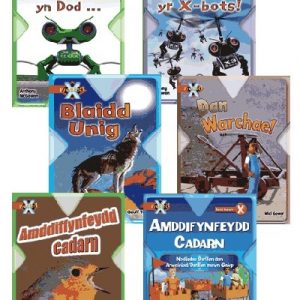 Prosiect X: Band 12 Brown (Pecyn o 6) Amddiffynfeydd Cadarn