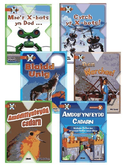 Prosiect X: Band 12 Brown (Pecyn o 6) Amddiffynfeydd Cadarn