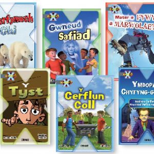 Prosiect X: Band 13 Llwyd (Pecyn o 6) Ymdopi â Chyfyng-Gyngor