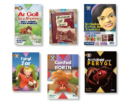 Prosiect X: Band 12 Brown Blwyddyn 3 (Pecyn o 6) Colli a Chanfod