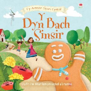 Cyfres fy Amser Stori Cyntaf: 3. Dyn Bach Sinsir, Y