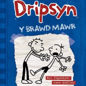 Dyddiadur Dripsyn: 2. y Brawd Mawr