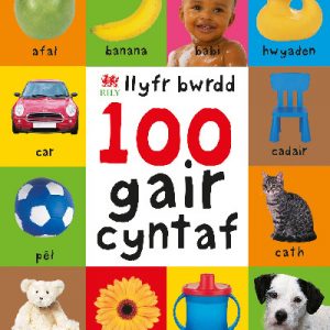 100 Gair Cyntaf - Llyfr Bwrdd