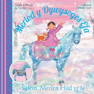 Cyfres Merlod y Dywysoges Efa: Sglein, Merlen Hud yr Iâ
